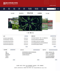 网站与网页设计 构建数字时代的视觉与功能桥梁